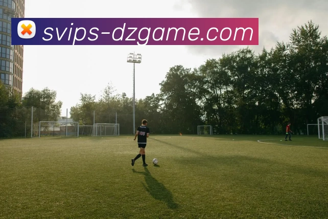 德州扑克官网APP 体育赛事宣传图